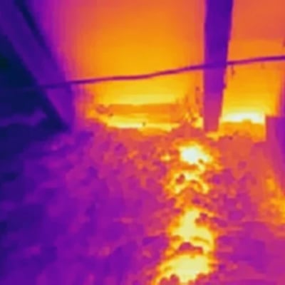 Attic thermal imaging